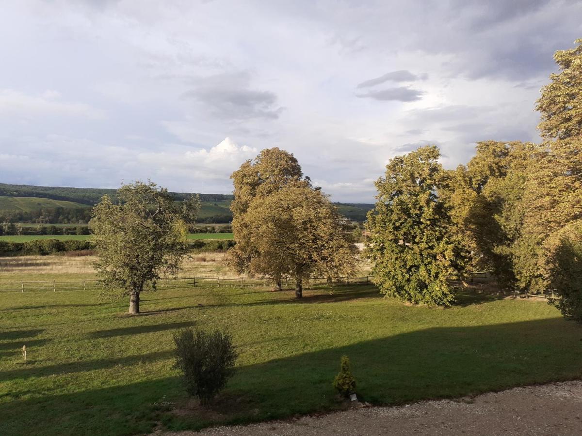 Domaine-De-La-Borde A Epernay Bed & Breakfast Mardeuil Bagian luar foto