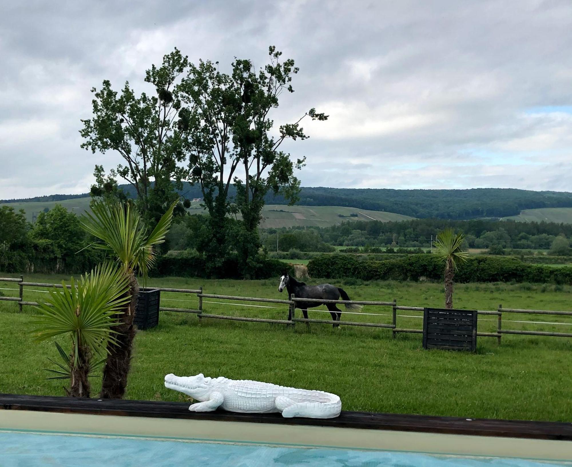 Domaine-De-La-Borde A Epernay Bed & Breakfast Mardeuil Bagian luar foto