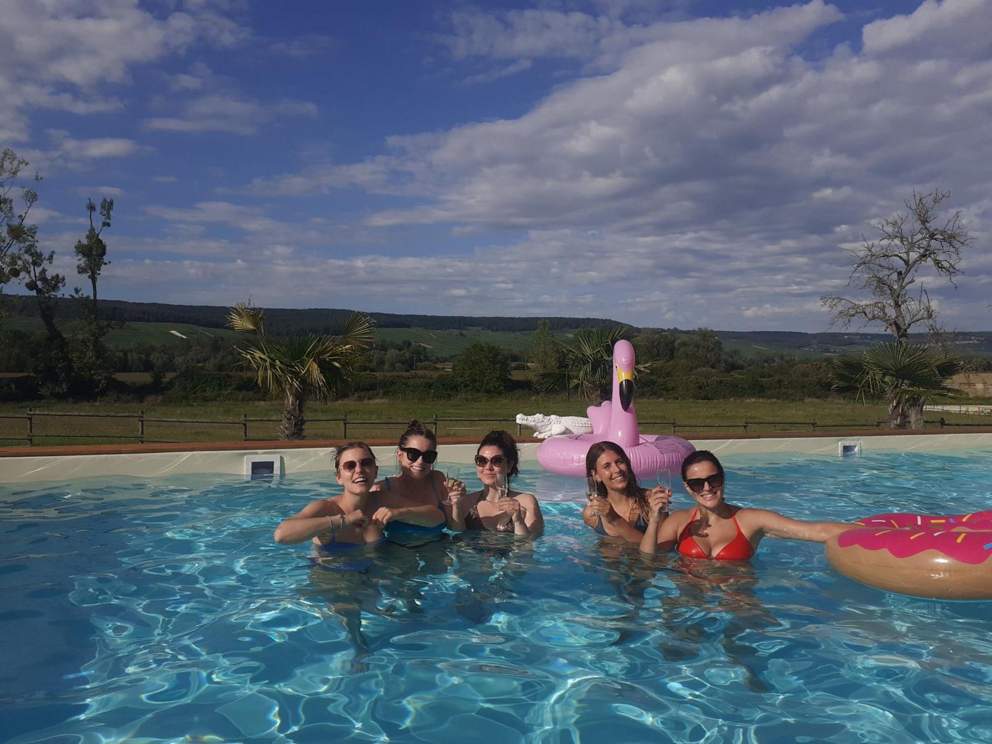 Domaine-De-La-Borde A Epernay Bed & Breakfast Mardeuil Bagian luar foto